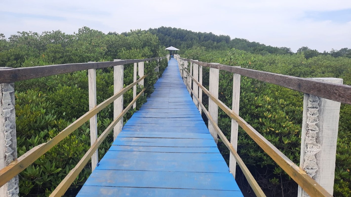 Pantai Mangrove Sidorejo